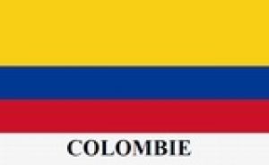 COLOMBIE.jpg
