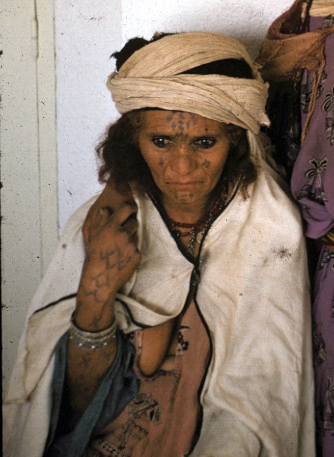 Copie de STEU DIAPOS 370